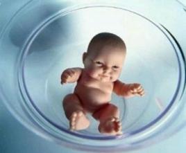 苏医生